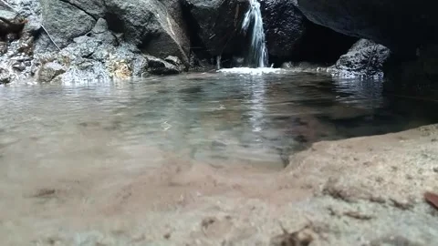 Small Waterfall and Calm Natural Pool in Forest Setting Stock Footage 329801002