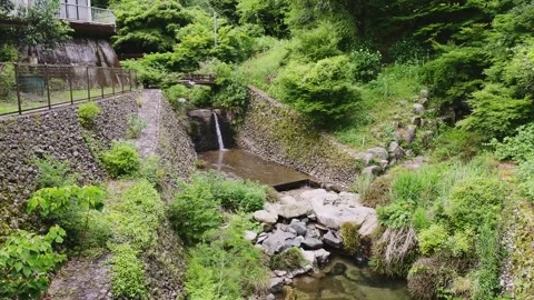 Small waterfall and clear stream surrounded by fresh green leaves, Saga Vídeos de archivo 336122307