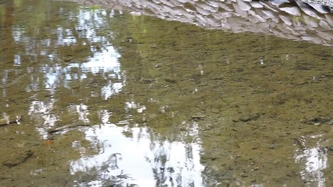 Small waterfall and clear water Stock Footage 78131285