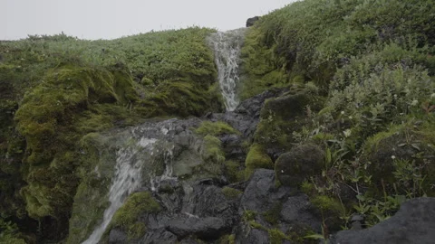 Small Waterfall and Moss at Disko Island 1 Stock Footage 292941880