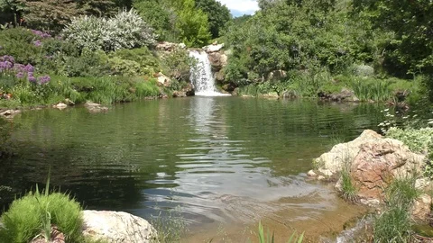 Small waterfall and pond Stock Footage 111006662