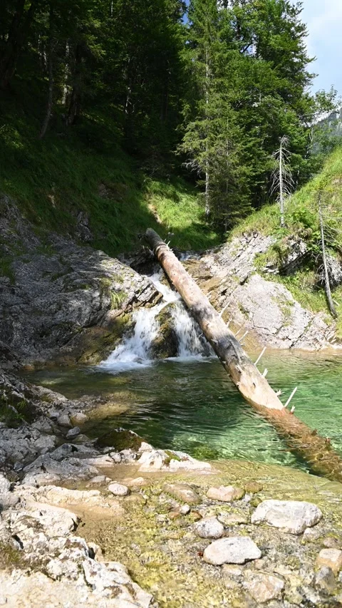 A small waterfall and a pond with a tree inside, mountain stream, vertical Stock-Footage 260880917