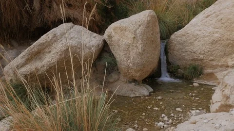 Small waterfall and rocks in Ein Gedi Nature Reserve, Israel. Stock Footage 84570745