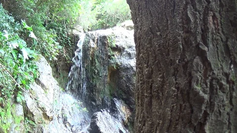 Small waterfall and a small lake in Jijel Stock Footage 129766419
