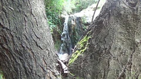 Small waterfall and a small lake in Jijel zoom in Stock Footage 129769035