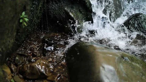 Small waterfall and stones in a deep forest green nature rock environment forest Stock Footage 99370841