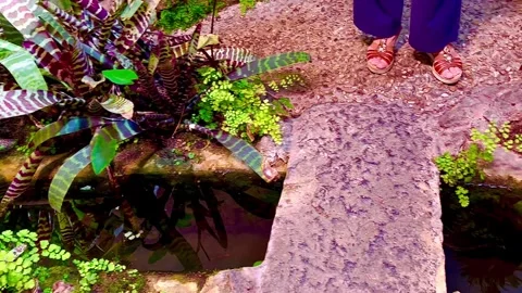 Small waterfall and stream among exotic plants. Italy. Stock Footage 310764260