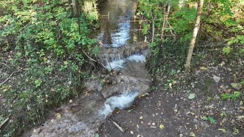 Small Waterfall and Stream in Lush Forest Near Barrie Ontario Video stock 318378292