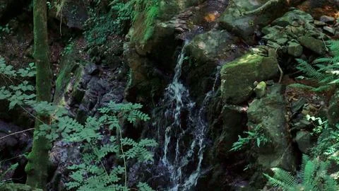 Small waterfall in area of rocks in the forest - July, 2019 Stock Photos