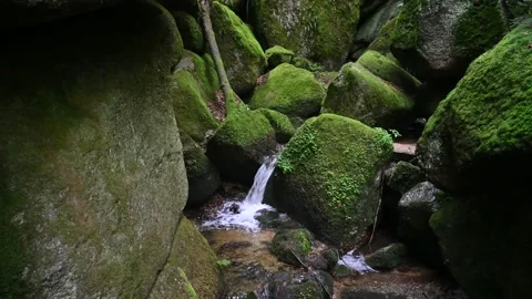Small waterfall in the austrian canyon wolfsschlucht near bad kreuzen Vidéo 131840378