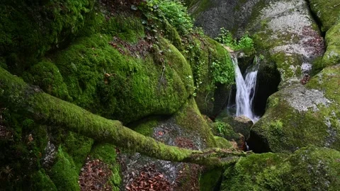 Small waterfall in the austrian canyon wolfsschlucht near bad kreuzen Vidéo 131840825