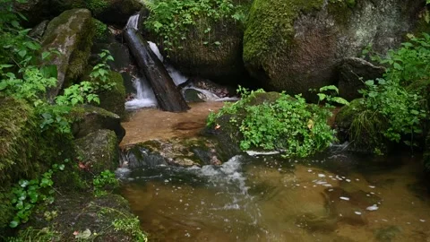 Small waterfall in the austrian canyon wolfsschlucht near bad kreuzen Видео 131840967