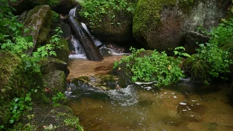 Small waterfall in the austrian canyon wolfsschlucht near bad kreuzen 库存影片 131841098