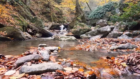 A small waterfall in Autumn Stock Footage 122721477