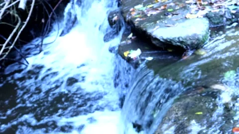 Small Waterfall In Autumn 스톡 동영상 164103931