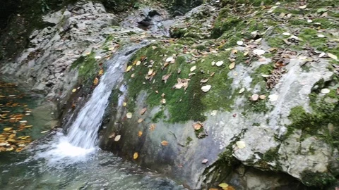 A small waterfall in the autumn forest Stock Footage 118715221
