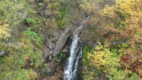 Small waterfall in Autumn forest Stock Footage 157734869