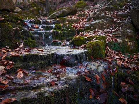 Small waterfall in the autumn forest. Stock Photos