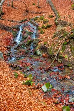 Small waterfall in the autumn forest Stock Photos
