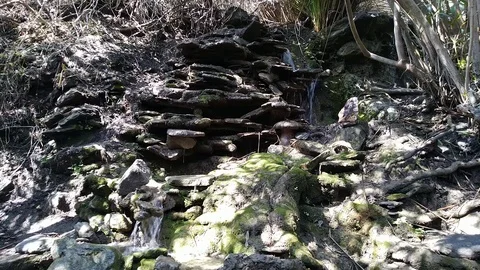 Small Waterfall Background in Magic Forest Stock Footage