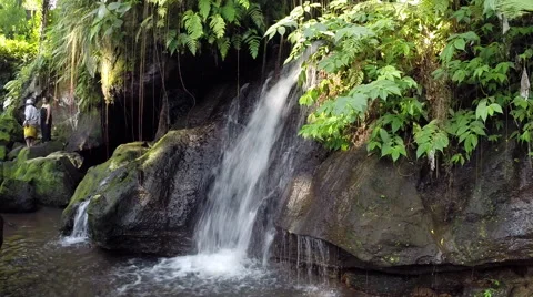 Small waterfall in the Bali Forest Stock Footage 41379108