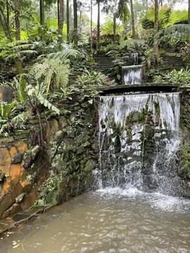 The small waterfall beside the path is made of natural stone Stock Photos