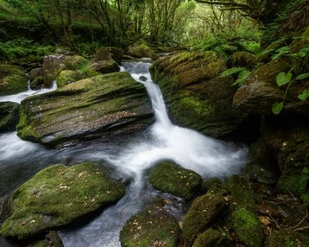 Small Waterfall between Mossy Rocks and Lush Vegetation Stock Photos