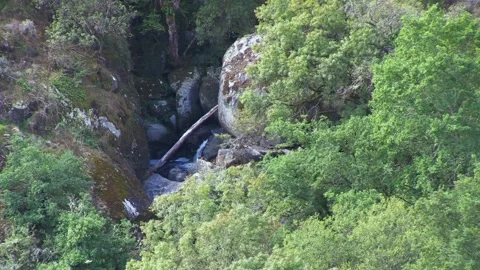 SMALL WATERFALL BETWEEN ROCKS WITH A BROKEN TRUNK Stock Footage 96331808