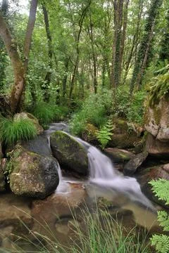 Small waterfall between rocks Stock Photos
