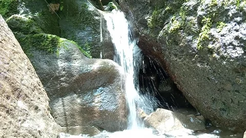 Small Waterfall Between Rocks in Tropical Jungle, Clear Flowing Stream Stock Footage 330543123