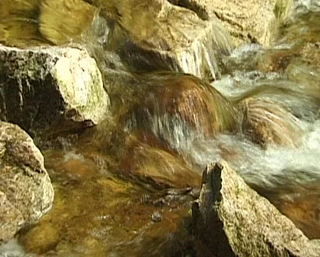 Small Waterfall in the Black Forest, Germany 스톡 동영상 709588