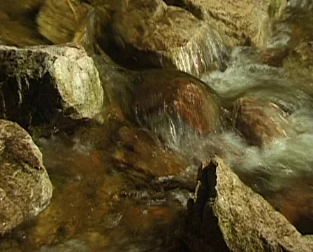 Small Waterfall in the Black Forest, Germany 스톡 동영상 709593