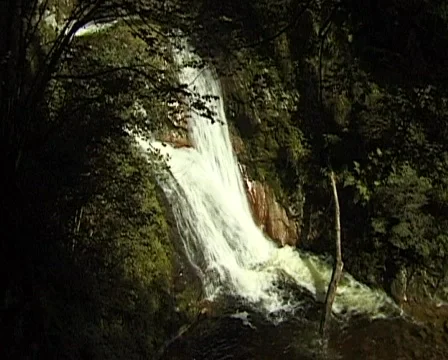 Small Waterfall in the Black Forest, Germany Stockbeeldmateriaal 709610