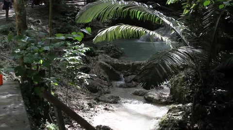 Small waterfall on Bohol Island Stock Footage 39981490