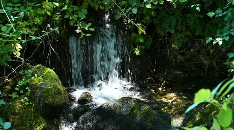 Small waterfall bottom in forest Stock-Footage 52528684