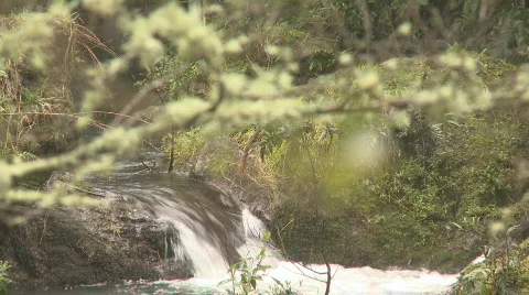 Small waterfall to branch rack focus Stock Footage 797649
