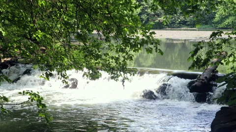 Small Waterfall on the bronx river parkway trail Stock Footage 167565554