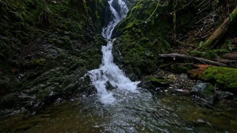 Small waterfall calm running water in a moss forest Stock Footage 235625207