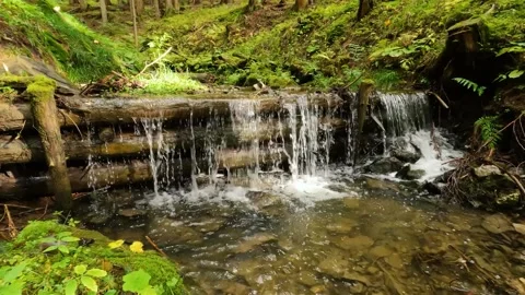 Small waterfall cascade crystal mountain stream green forest nature background Stock Footage 217950367