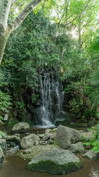A small waterfall cascades down moss-covered rocks Stock-Fotos