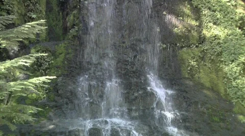 Small Waterfall in the Cascades Stock Footage 320030