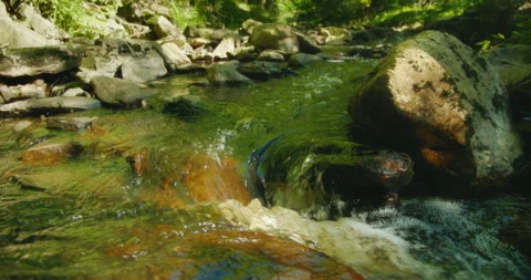 A small waterfall cascades gently over moss-covered stones surrounded by dense Video stock 307356939