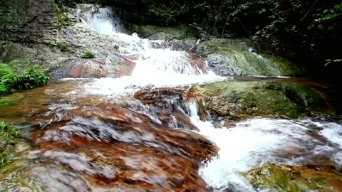 A small waterfall cascades over rocks in a lush green forest Stock Footage 312304075