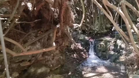 Small waterfall cascading amid tangled roots in Cyprus Stock Footage 328096776