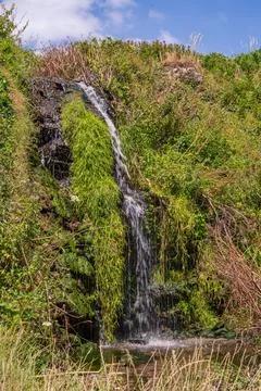 Small waterfall cascading down a lush green rocky slope on a hot summer day Фото