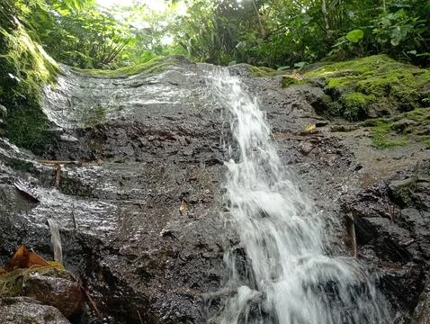 Small Waterfall Cascading Down Rocky Slope in Tropical Forest Stock Photos
