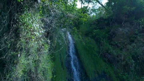 Small waterfall cascading down a verdant cliff in a lush forest Vídeos de archivo 333696233