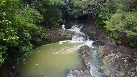 Small Waterfall Cascading into Forest Pool at Kitekite Falls Stockbeeldmateriaal 337472024
