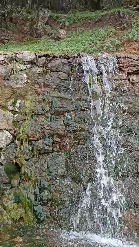 Small Waterfall Cascading Over Mossy Rock Face in Spring Forest. Stock Footage 334345155