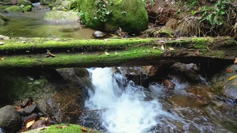 Small Waterfall Cascading Over Mossy Rocks in Tropical Jungle Vídeos de archivo 334617183